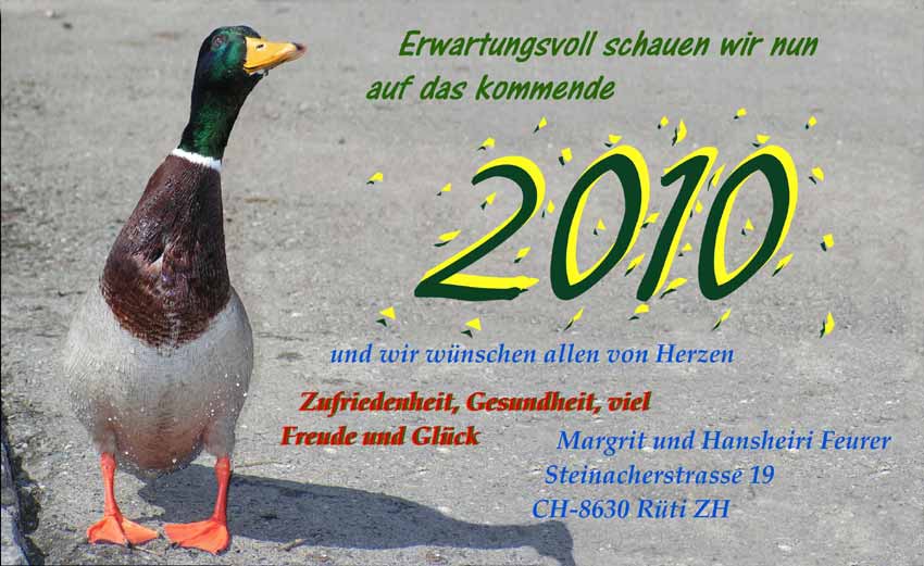 Frohe Festtage und es guets Neus
